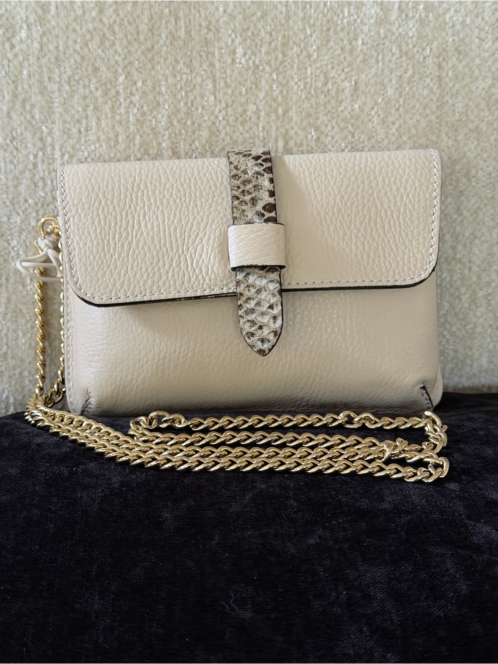 Cream Leather Crossbody Bag with Gold Chain and Snake Accent